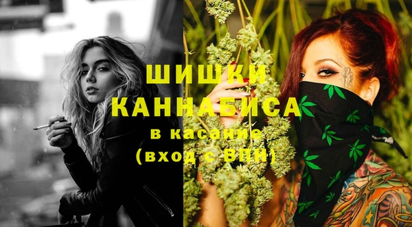 прущий лед Богданович