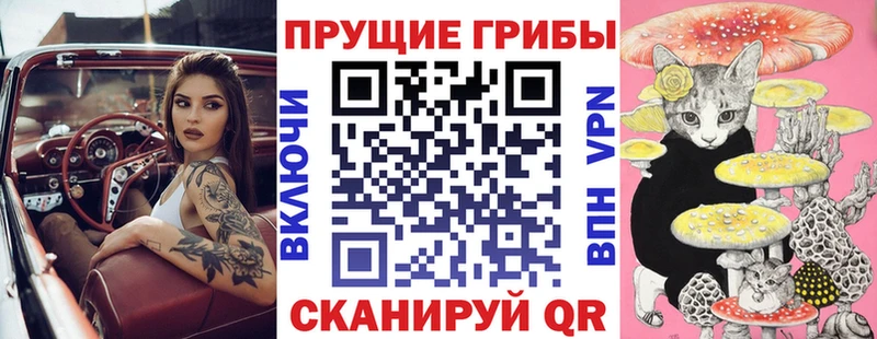 Галлюциногенные грибы GOLDEN TEACHER  Купить  Волхов 
