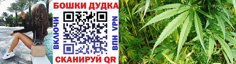 Купить где Волхов Шишки марихуана Amnesia